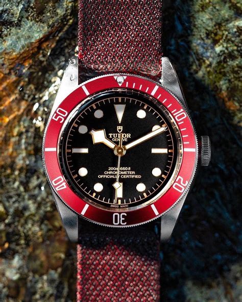 tudor heritage 79220b|tudor black bay 79230r.